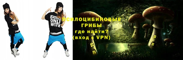 меф Ельня