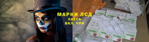меф Ельня
