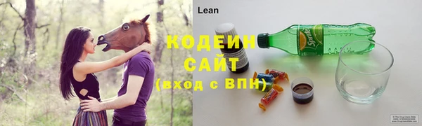 меф Ельня