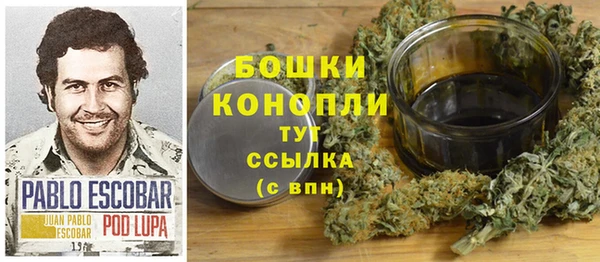 меф Ельня