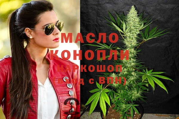 меф Ельня