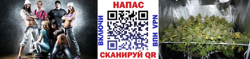 Каннабис Amnesia  Купить где  Междуреченск 